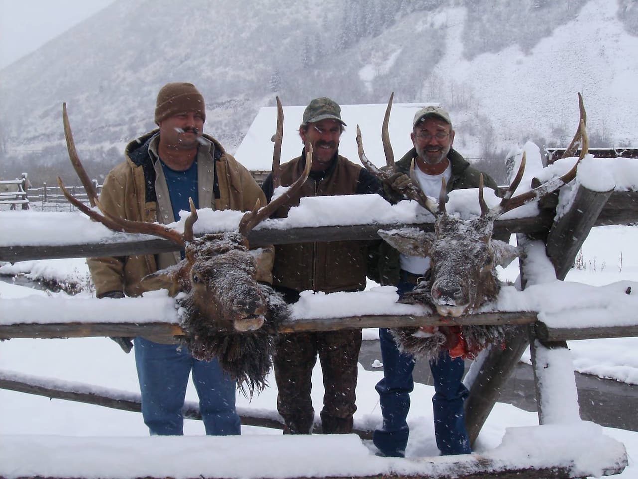 Gallery of Hunting images