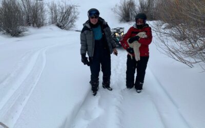 Epic Snow in Meeker Means Epic Snowmobile Tour Adventures.