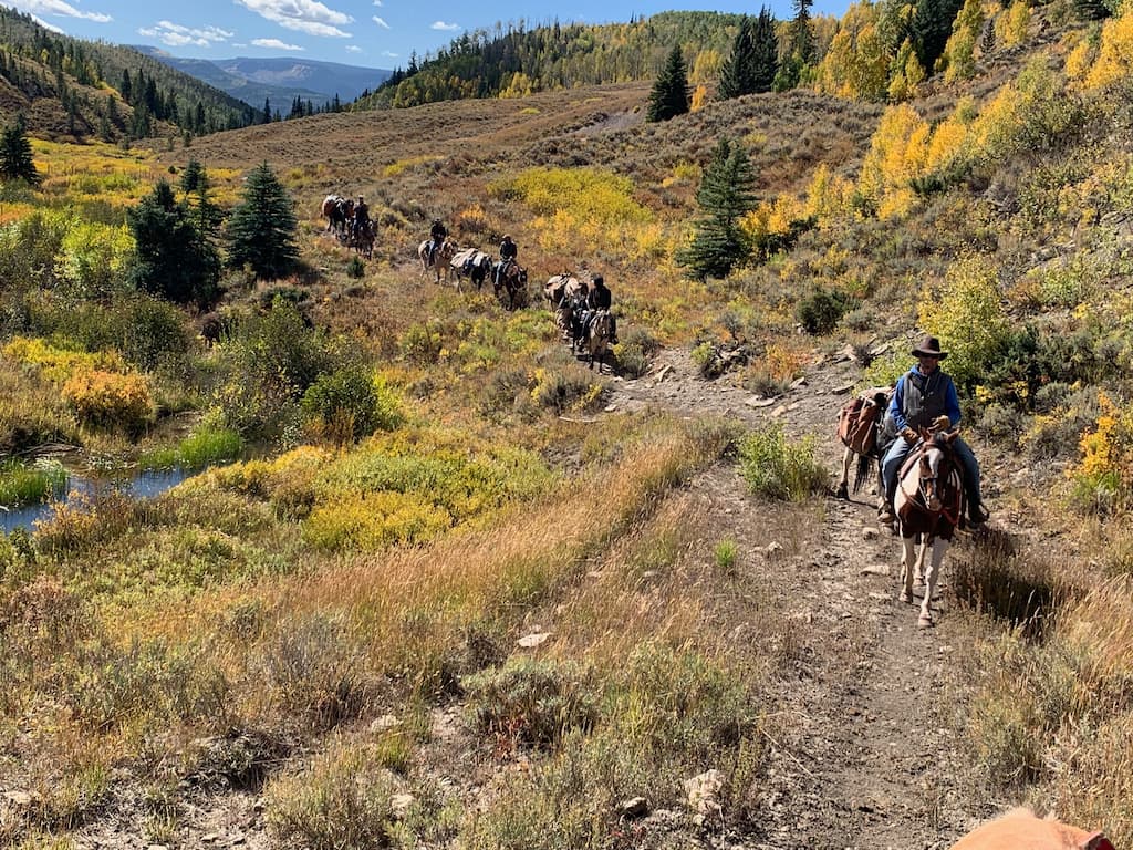 Welder Ranch and Outfitting Services Successful Elk pack trip 2023