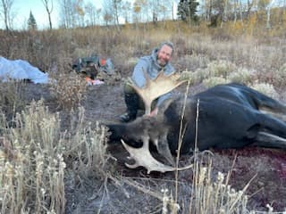 Welder Ranch and Outfitting Services Moose 2023
