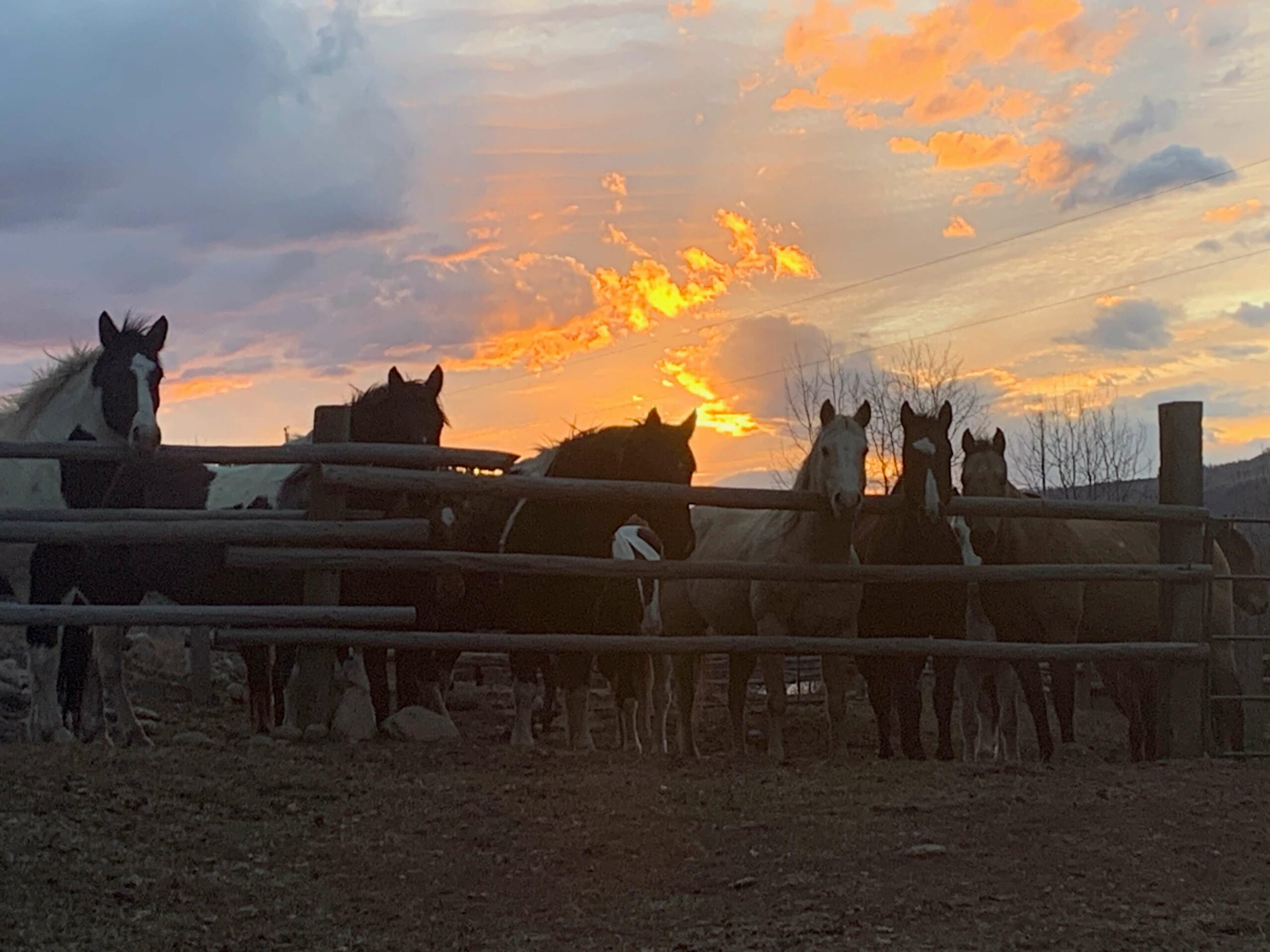 Welder Ranch and Outfitting Services Fall 2023 at sunset