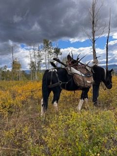 Welder Ranch and Outfitting Services Hunting Fall 2024