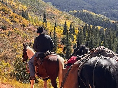 Welder Ranch and Outfitting Services Hunting Fall 2024