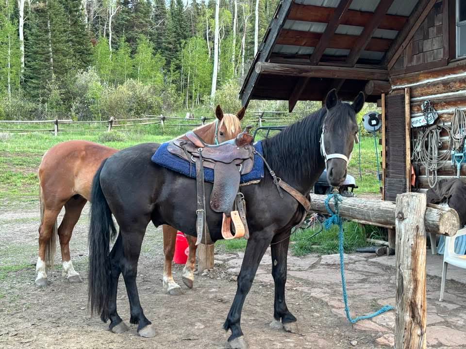 Welder Outfitting Services Saddled and Ready
